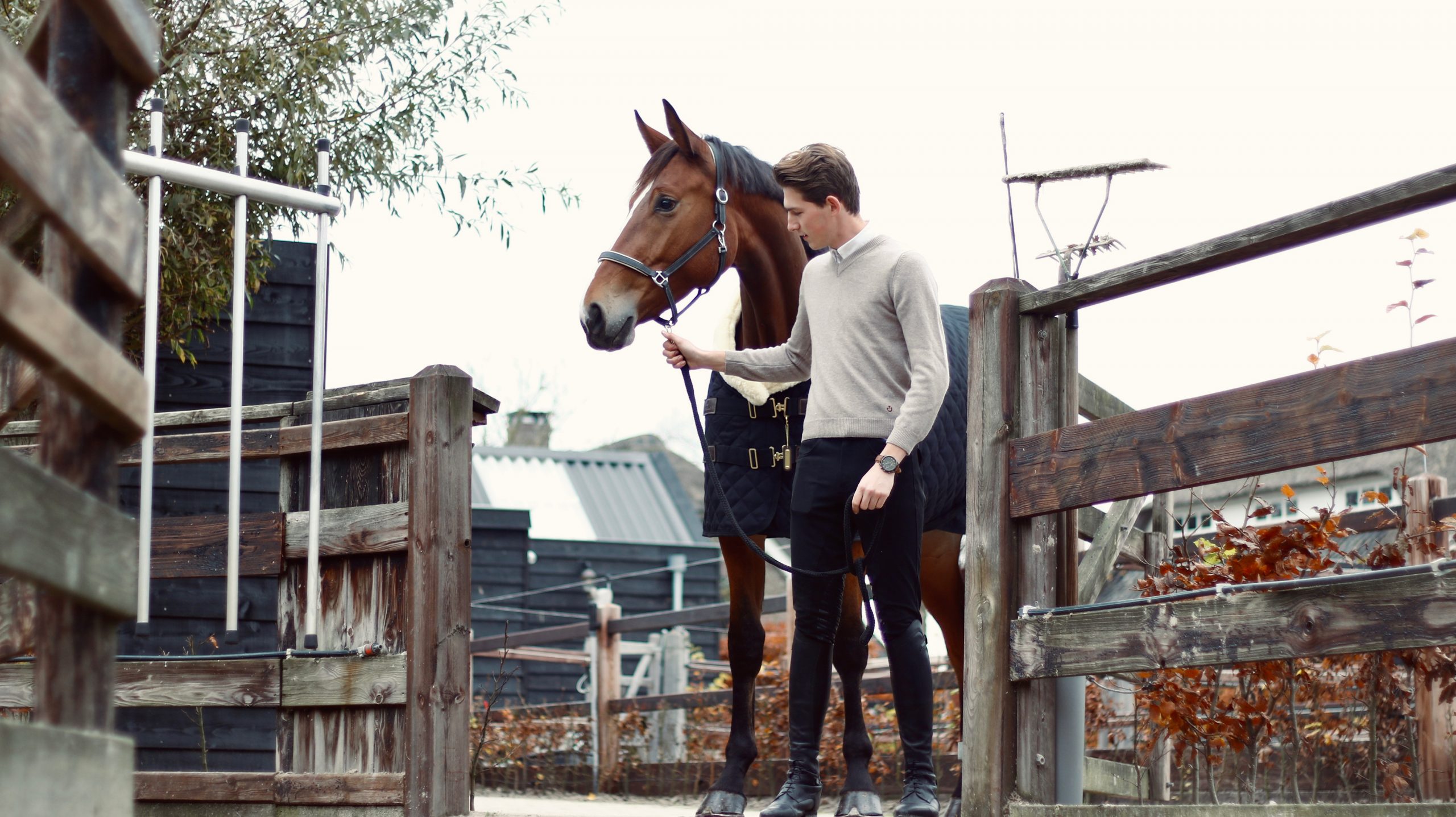 Stal de Klomperhof | Training, verkoop en fokkerij van springpaarden.