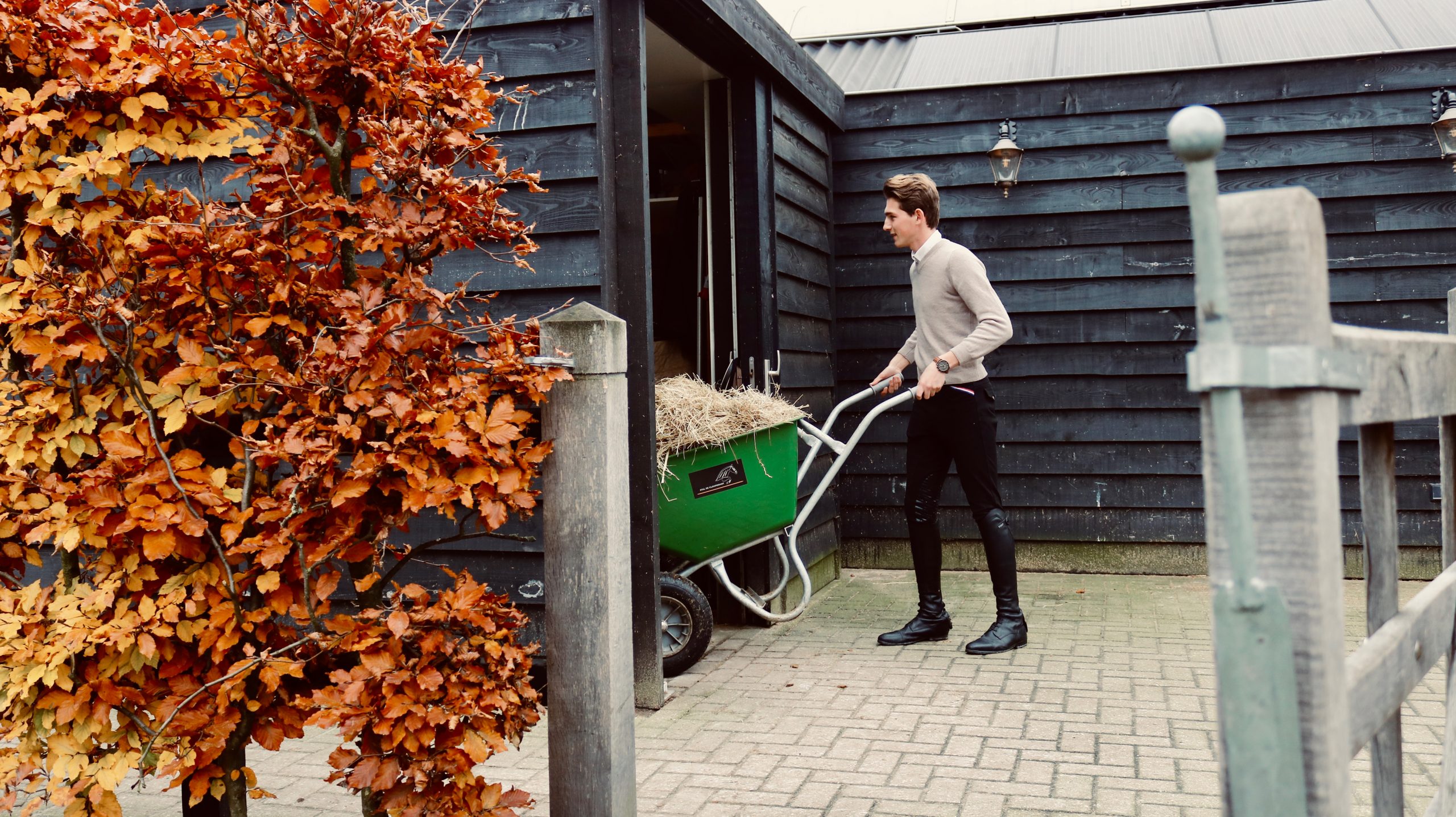 Stal de Klomperhof | Training, verkoop en fokkerij van springpaarden.