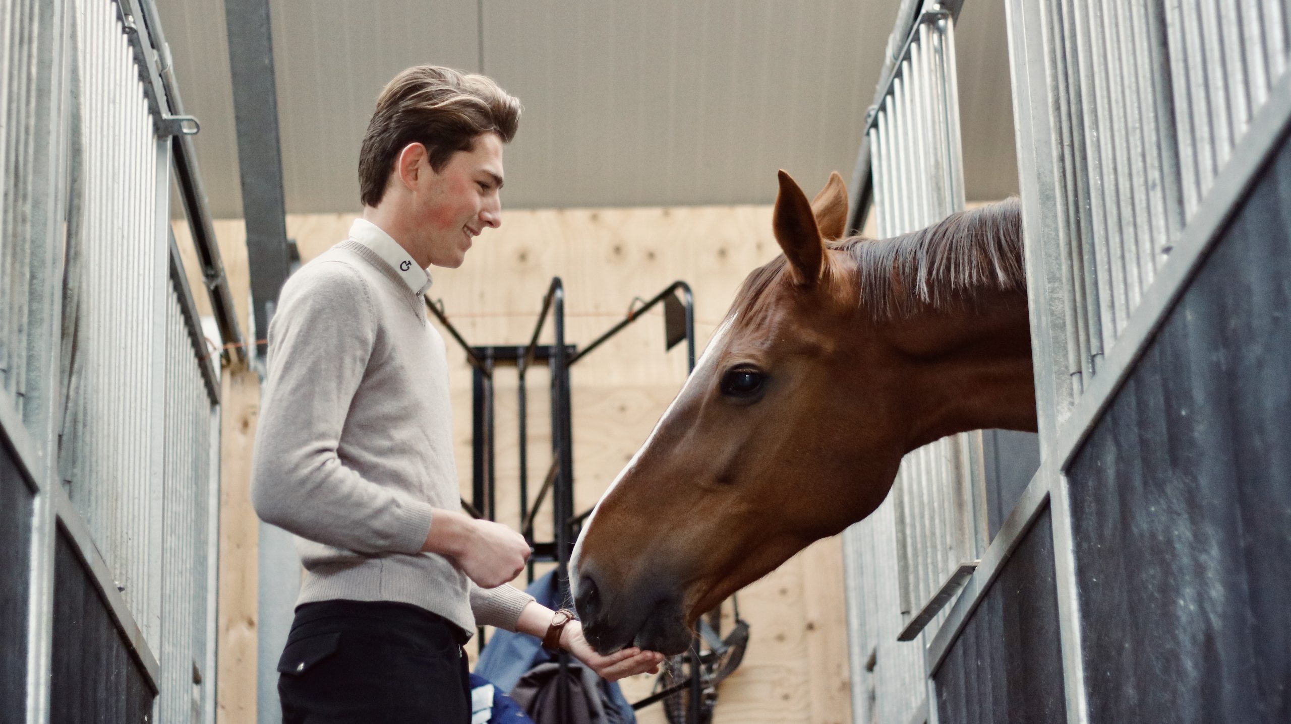 Stal de Klomperhof | Training, verkoop en fokkerij van springpaarden.