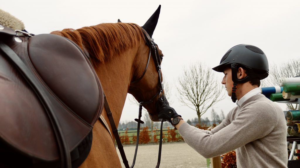 Stal de Klomperhof | Training, verkoop en fokkerij van springpaarden.